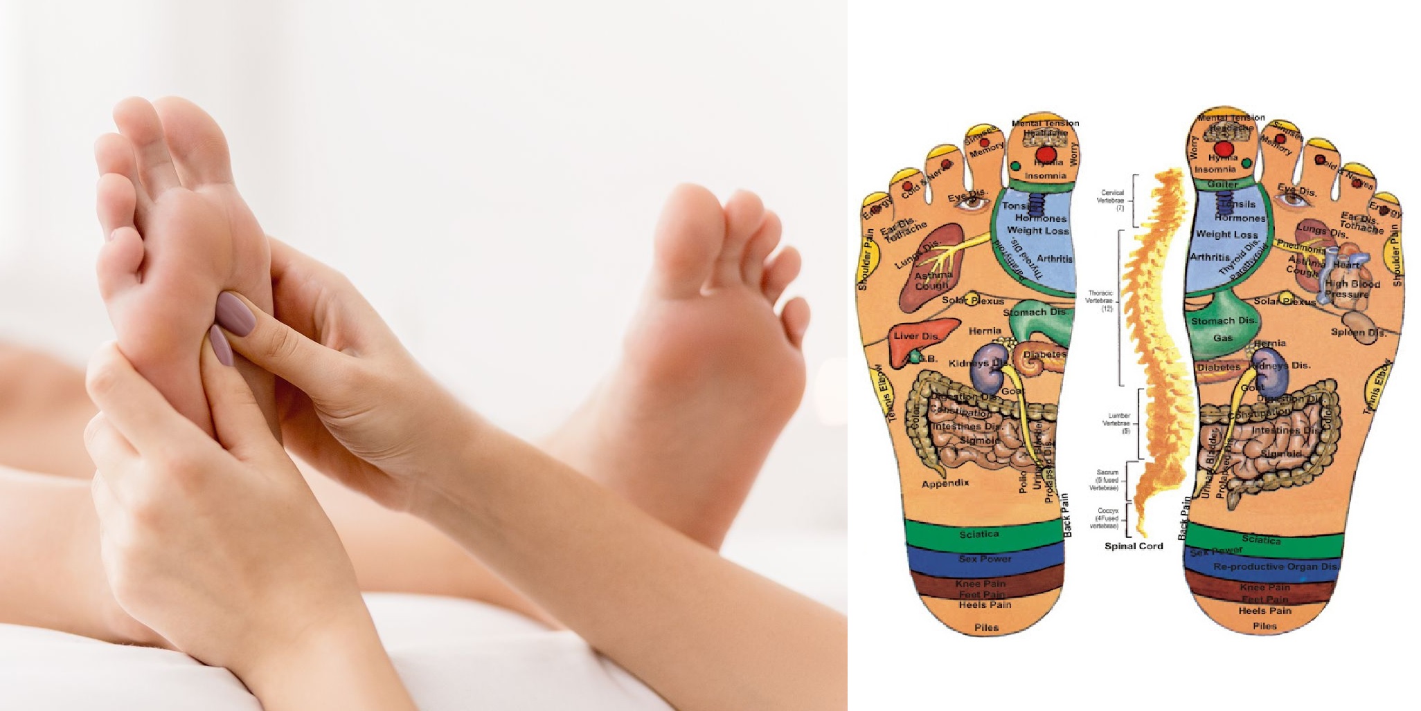 El masaje de pies que sana tu cuerpo: reflexología podal - El Sol de Puebla